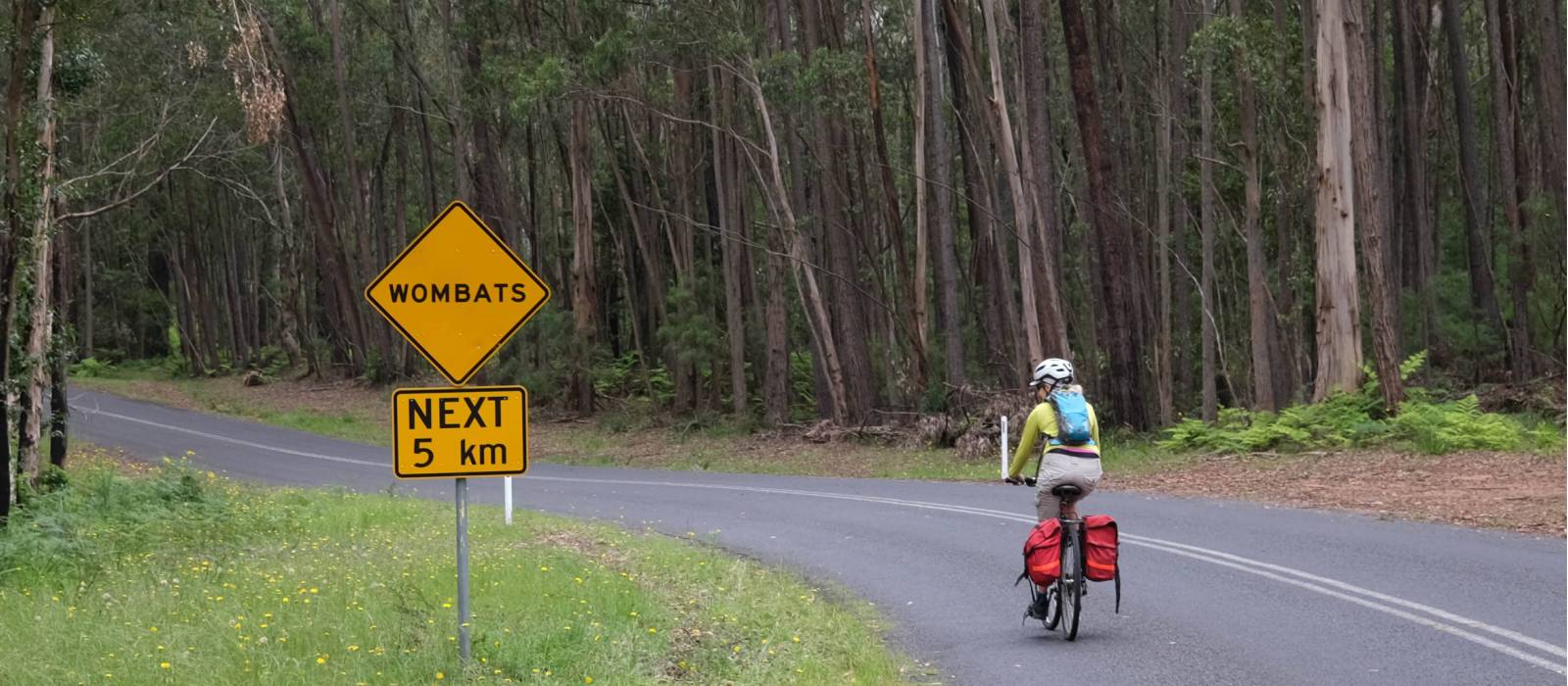 Myrtle Mountain Wombat sign with Cyclist | Ross Baker