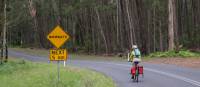 Myrtle Mountain Wombat sign with Cyclist | Ross Baker