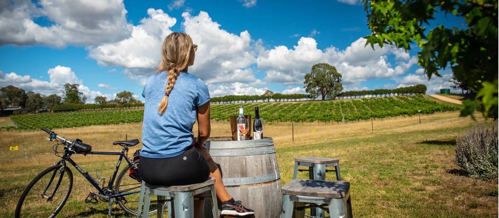 Wine with a beautiful view in Rylstone | Tim Charody
