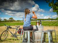 Take a break at Naked Lady Wines in Rylstone |  <i>Tim Charody</i>
