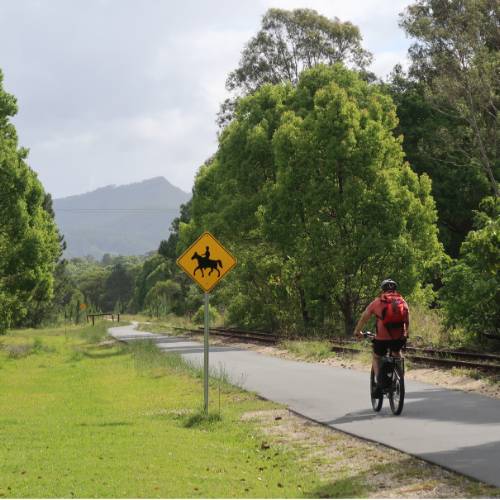 Cyclist on the Northern Rivers Rail Trail