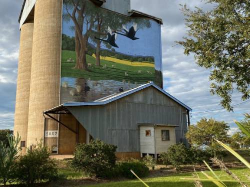 Painted Silos are a feature of the CWC | <i>Michele Eckersley</i>