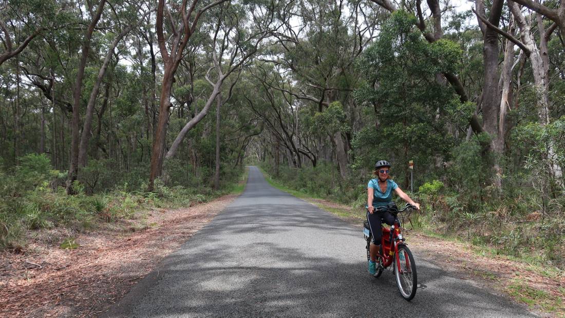 Quiet and shaded roads feature on the Southern Highland Cycle outside Robertson |  <i>Kate Baker</i>