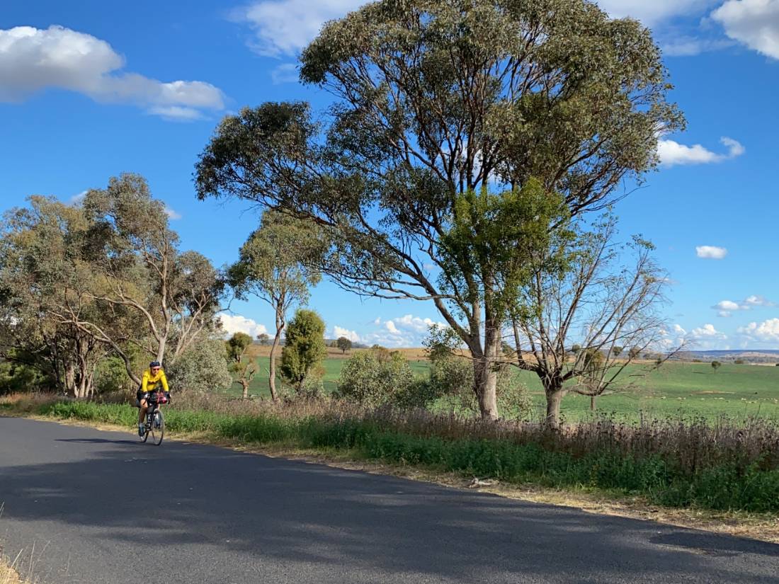 Quiet paved route between Gulgong and Dunedoo |  <i>Michele Eckersley</i>