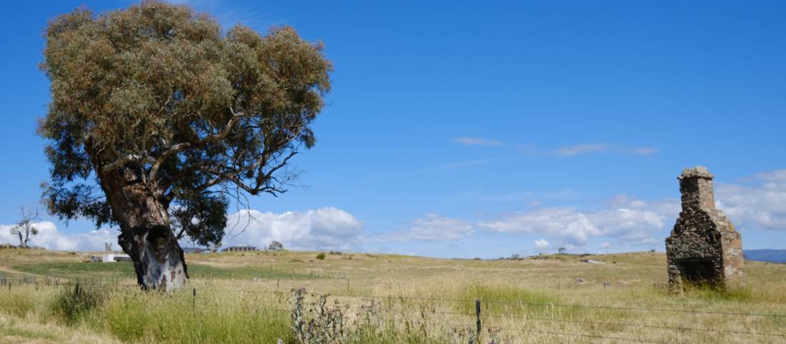 Rural scene enroute to Maffra from Jindabyne |  <i>Ross Baker</i>