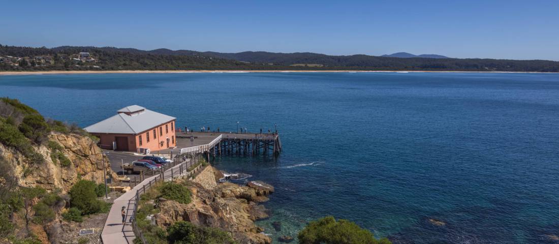 The wonderful short but sweet Tathra Headland walk offers some great views of the Pacific Ocean. |  <i>David Rogers</i>