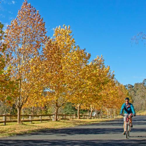 Southern Highlands