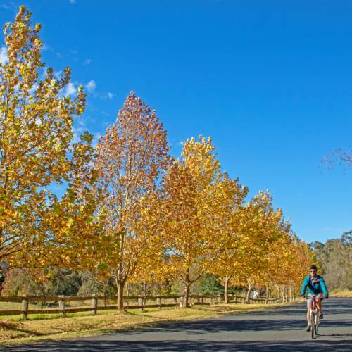 Southern Highlands