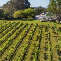Our deluxe accommodation in the Hunter Valley | Spicers
