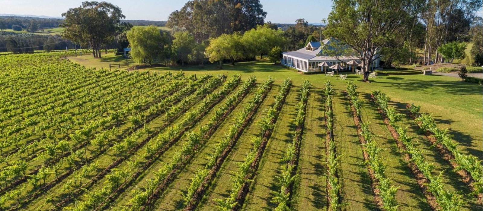 Our deluxe accommodation in the Hunter Valley | Spicers