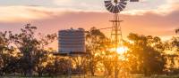Sun sets over a water tank and windmill in Gulargambone. | Destination NSW