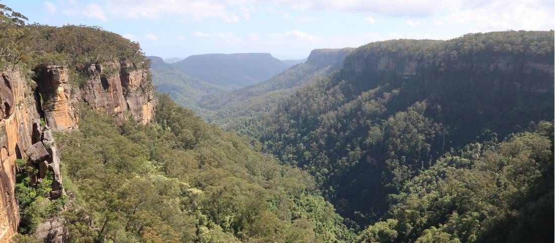 View from the viewing platform at Fitzroy Falls |  <i>Kate Baker</i>