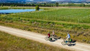 LachlanGardiner_TrailJourneys_OTAGO_DAY_05-HIGHRES-0799,Lachlan Gardiner Otago Central Rail Trail - Muttontown