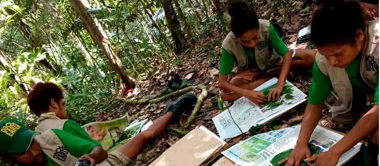 Biodiversity team in Papua New Guinea Forests with Cool Earth
