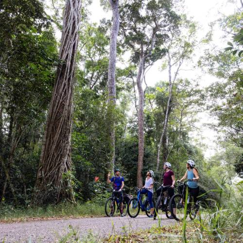 Rainforest And Magnetic Island Cycle Tour Cycle Australia