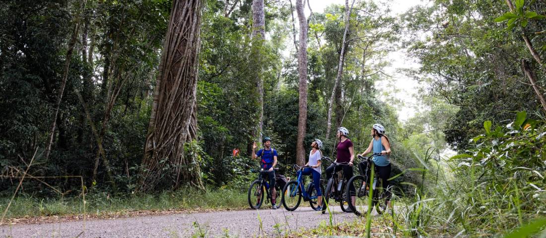 Experience the best of Australia's rainforest by bike