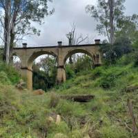 Disused railway bridges on the Boyne Burnett Inland Rail Trail.