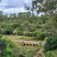 Become immersed in Queensland's nature.