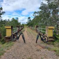 Bikes posed along the gravel rail trail.