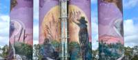 Incredible silo art on the Boyne Burnett Inland Rail Trail.