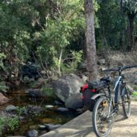 Creek crossing near Blackbutt | Shawn Flannery