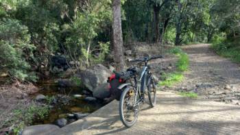 brisbane rail trail tours