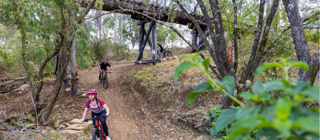 Cycling the Brisbane Valley Rail Trail |  <i>Tourism and Events Queensland</i>