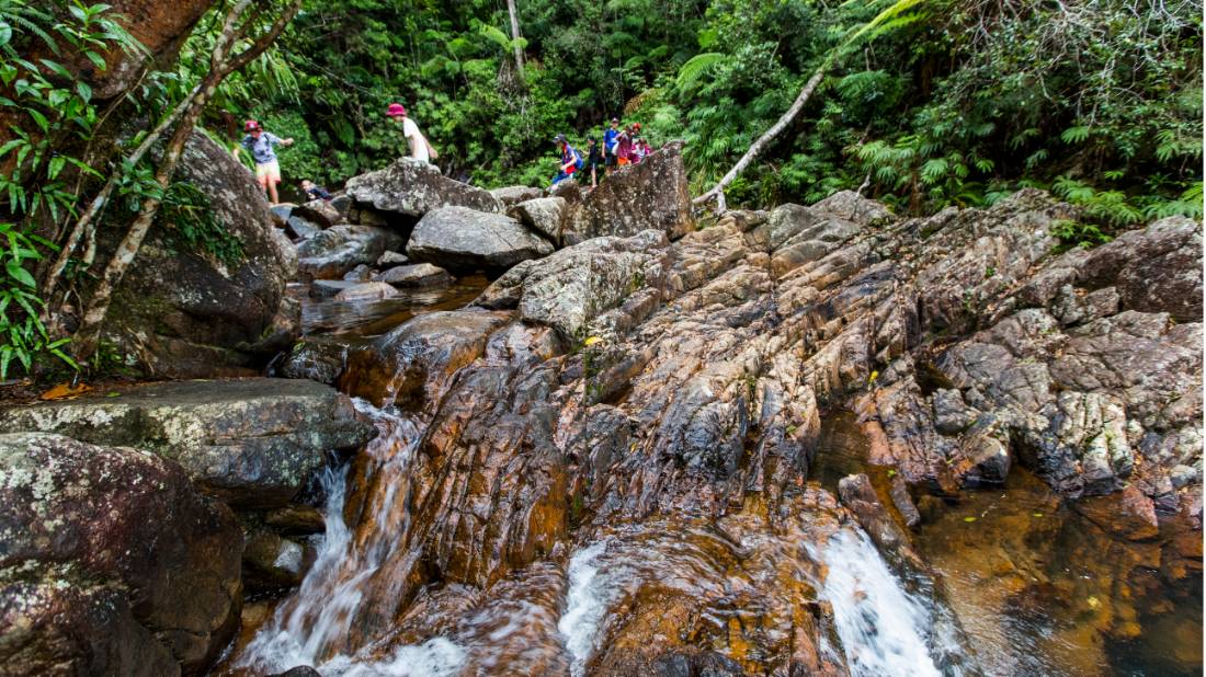 Exploring the natural beauty of Paluma National Park