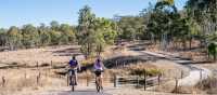 Cycling the rail trail around Murgon in Queensland | Jason Wyeth