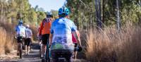 Experience country Australia on the South Burnett Rail Trail | Jason Wyeth