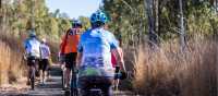 Experience country Australia on the South Burnett Rail Trail | Jason Wyeth