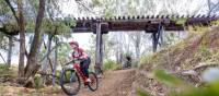 Off road action on the Brisbane Valley Rail Trail | Tourism and Events Queensland