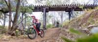 Off road action on the Brisbane Valley Rail Trail | Tourism and Events Queensland
