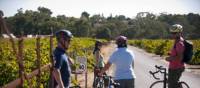 Meet up with friends and cycle the Barossa Trail | Matt Nettheim