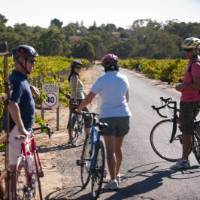 Meet up with friends and cycle the Barossa Trail | Matt Nettheim