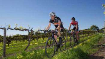 The Barossa Valley is a wonderful destination for a cycling tour | Kevin Anderson