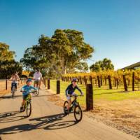 A family cycling the Barossa Trail | Sven Kovac