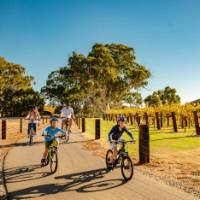 A family cycling the Barossa Trail | Sven Kovac