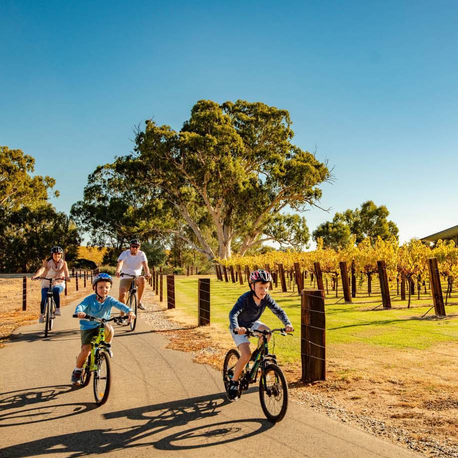 A family cycling the Barossa Trail | Sven Kovac
