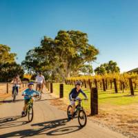 A family cycling the Barossa Trail | Sven Kovac