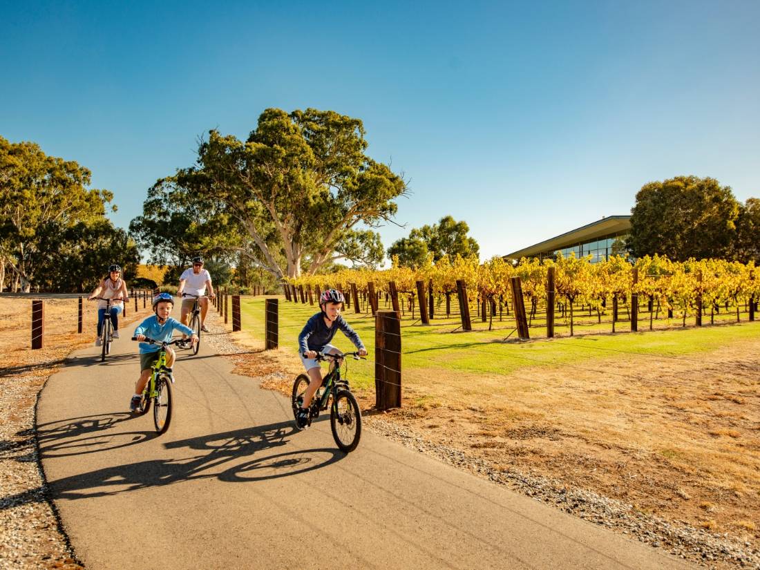 A family cycling the Barossa Trail |  <i>Sven Kovac</i>