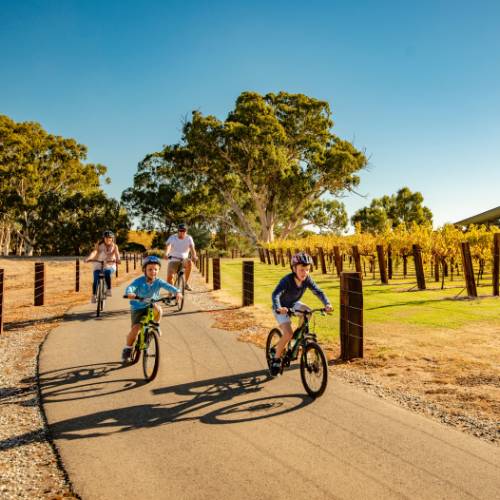 A family cycling the Barossa Trail