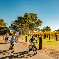 A family cycling the Barossa Trail | Sven Kovac