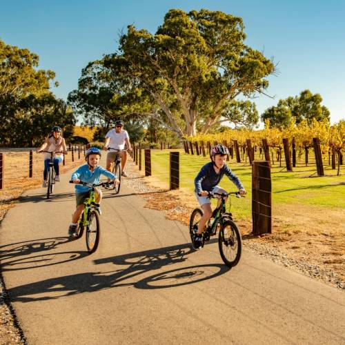 A family cycling the Barossa Trail