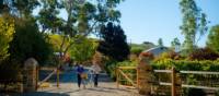 Cycling into Kilikanoon Wines in the Clare Valley