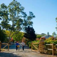 Cycling into Kilikanoon Wines in the Clare Valley