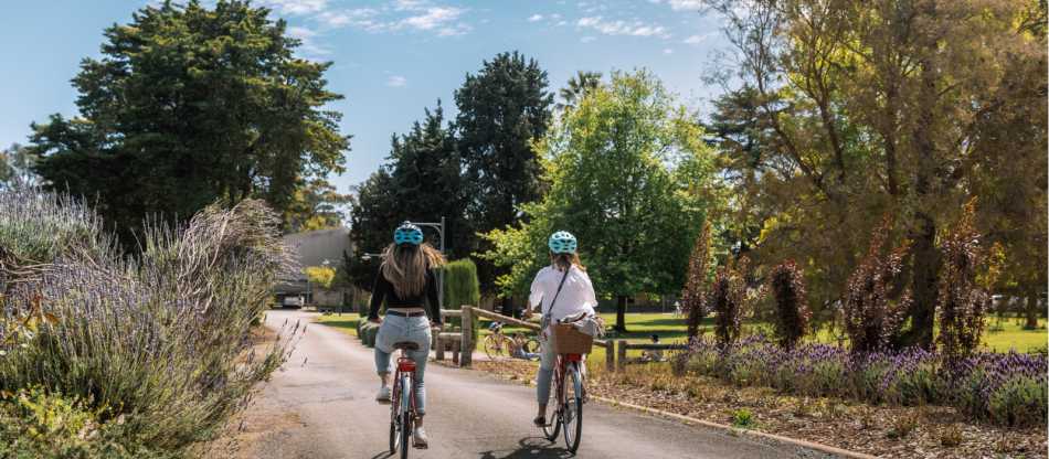 Clare Valley Cycle Explorer Tour Cycle South Australia - Main Image