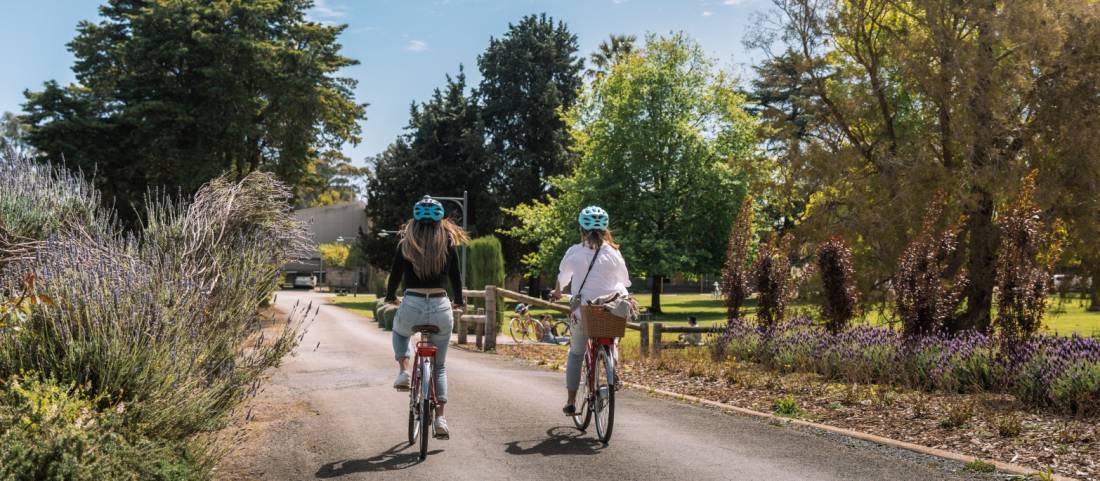 Cycling through Sevenhill Cellars in the Clare Valley