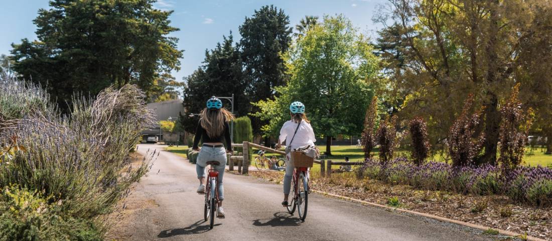 Cycling through Sevenhill Cellars in the Clare Valley