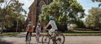 Exploring the Clare Valley by bike